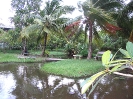 รวมภาพ