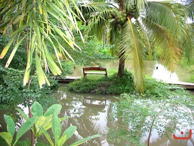 รูปต่างๆ