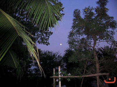 ภาพรวม