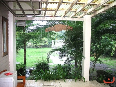 ภาพรวม