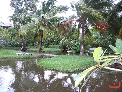 รวมภาพ