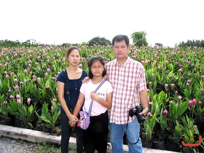 ภาพรวม