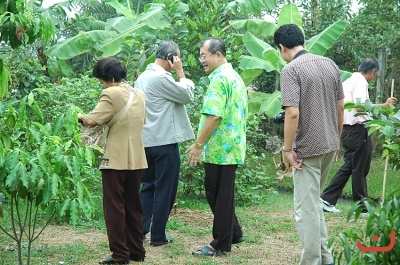 มาเป็นเกียรติ ภาพที่ ๘๑๑
