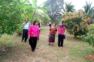 เดินชมสวน  ภาพที่  ๘๒๓