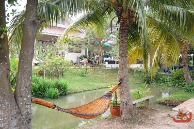 บริเวณหลังบ้าน  ภาพที่  ๘๙๔