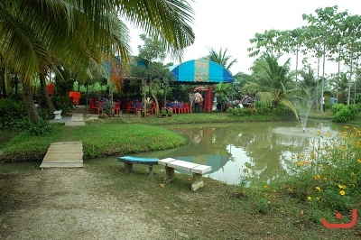 บริเวณหลังบ้าน  ภาพที่  ๘๙๕
