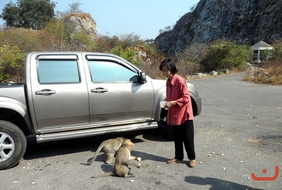 อุทยานหินเขางู ราชบุรี ภาพที่  ๙๙๓